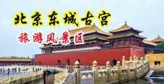 美女的黑北洞洞中国北京-东城古宫旅游风景区